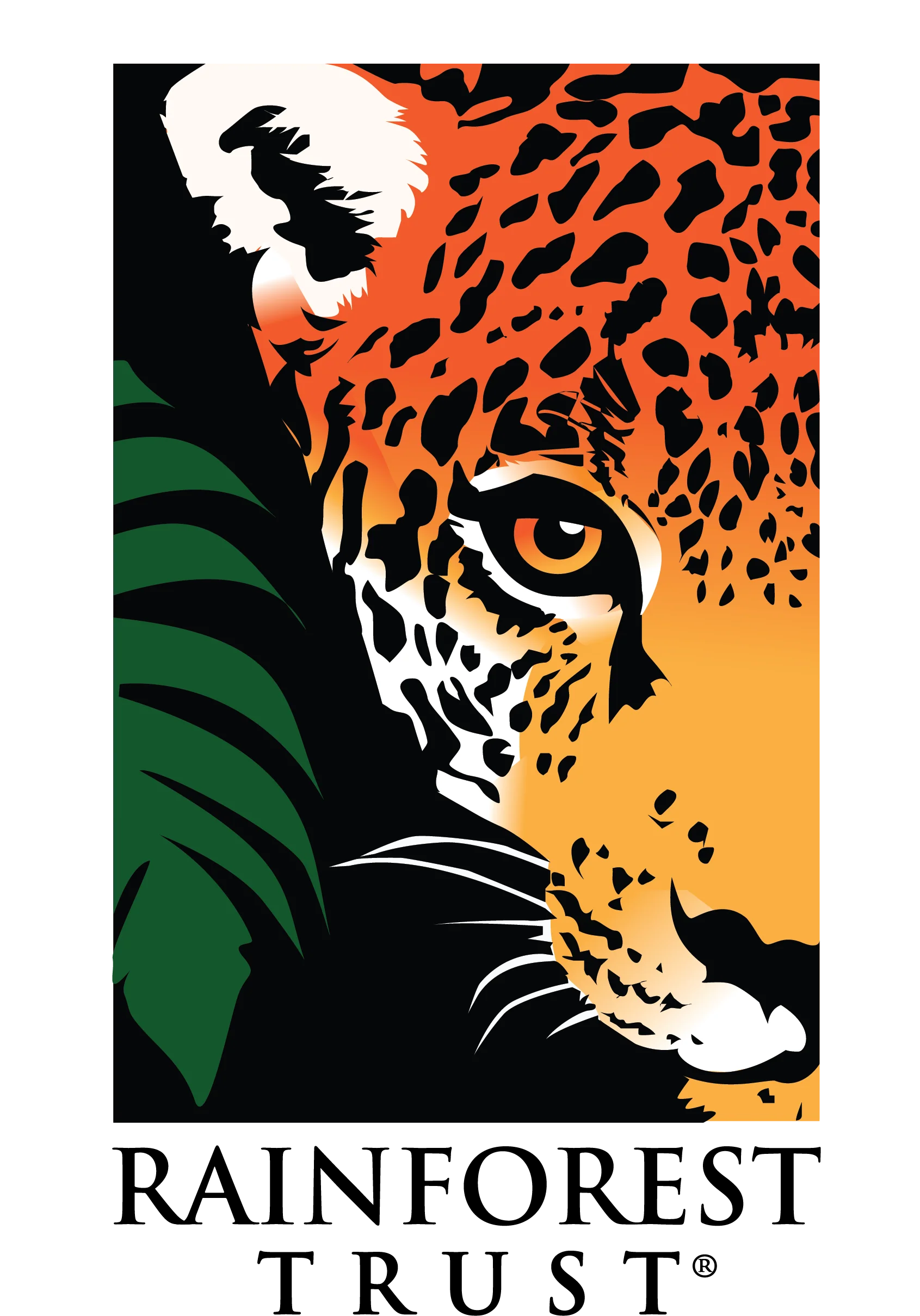 Safeguard Critical Rainforest Habitat - Image 11