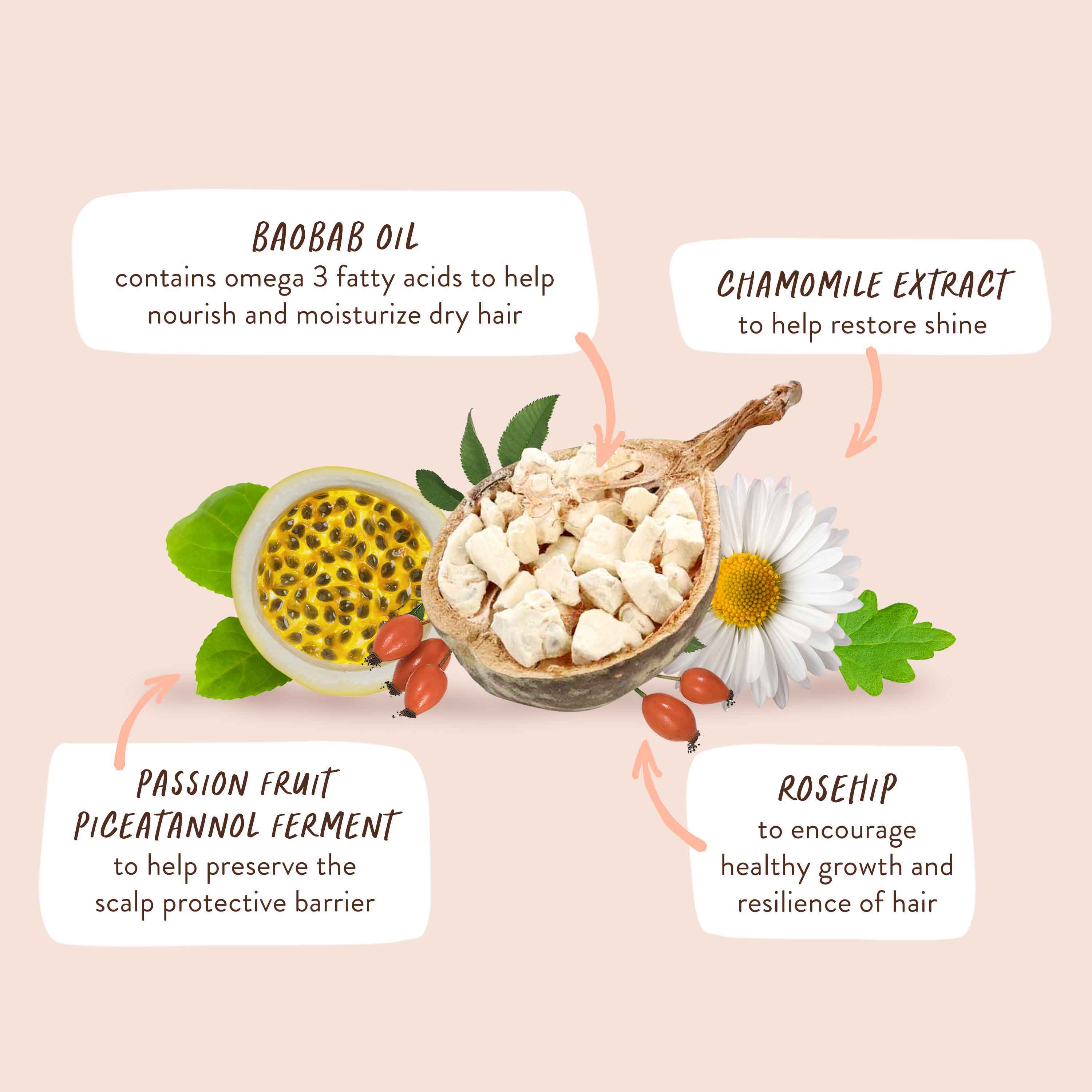 Defining Baobab & Rosehip Conditioner - Image 7