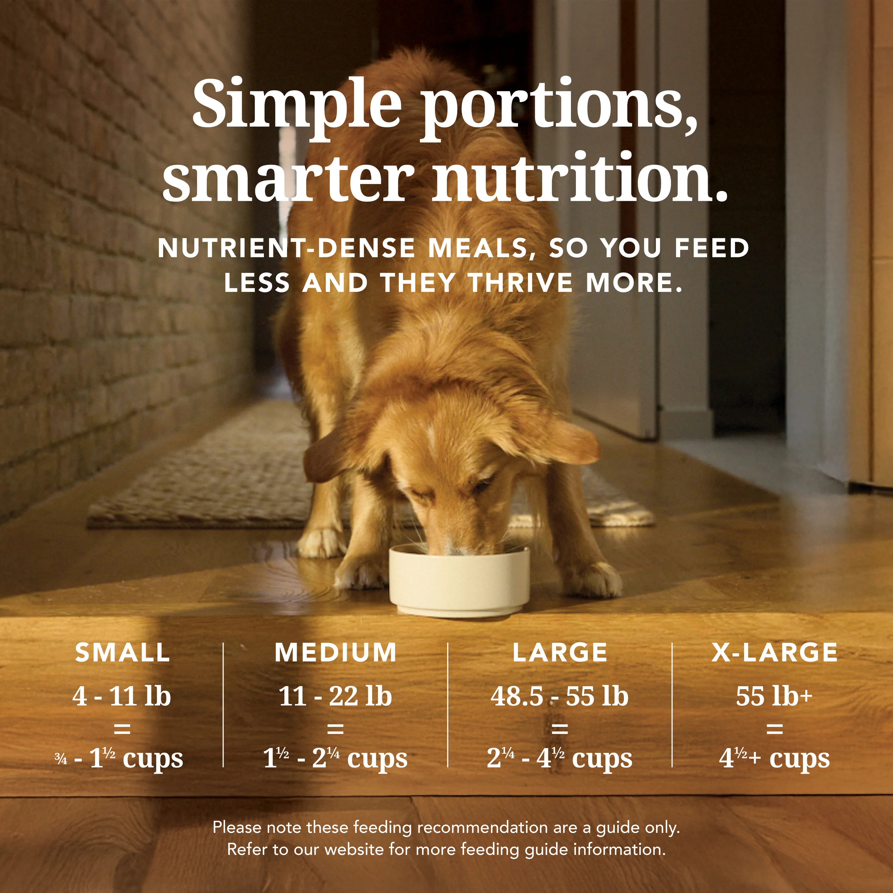 Dog Food - Grain-Free, Freeze-Dried - Image 7