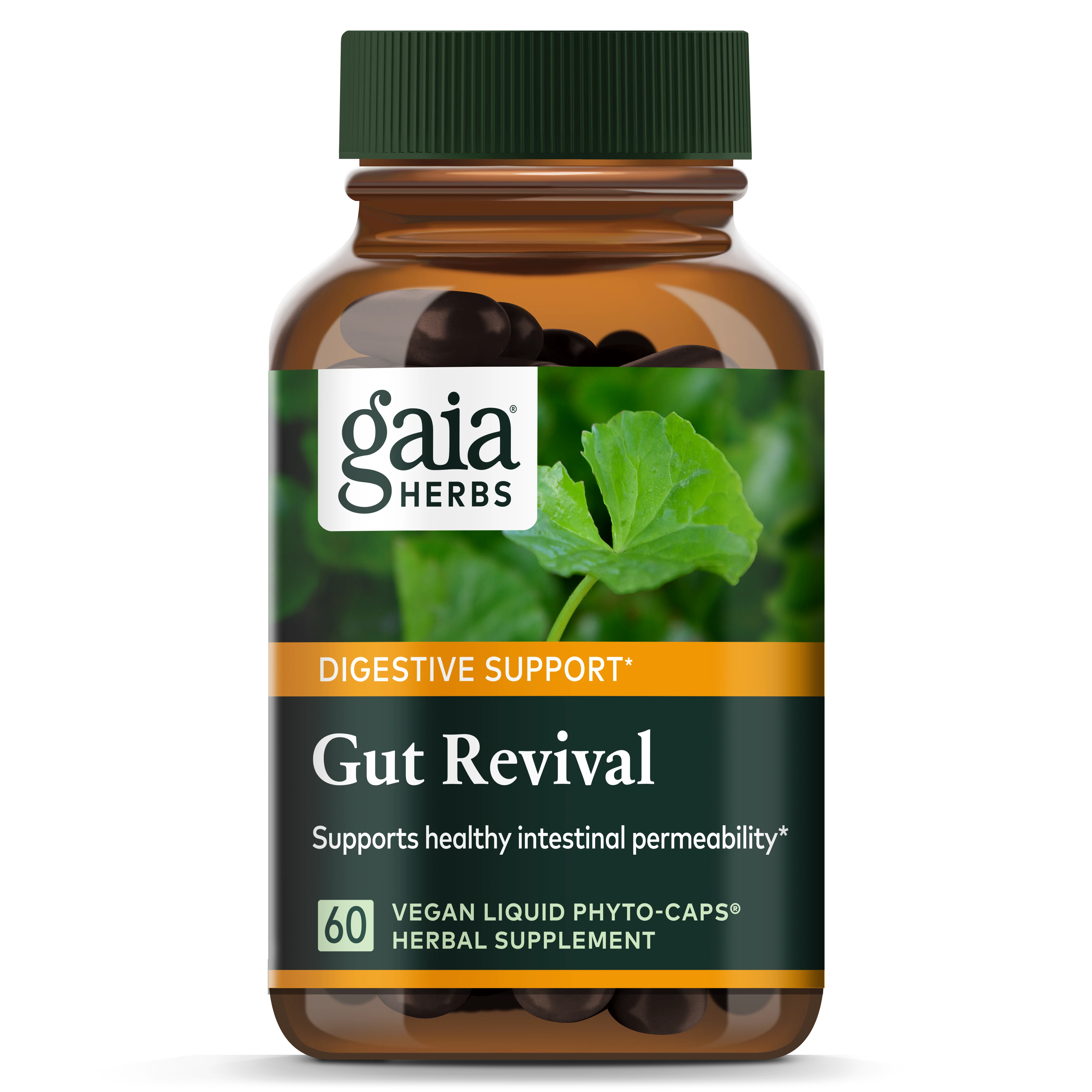 Gut Revival