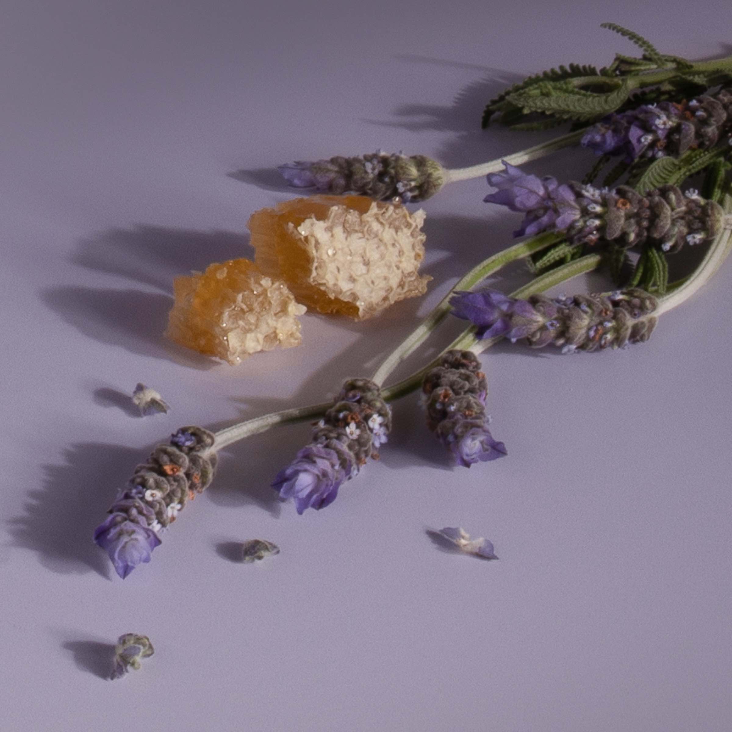 Stix Diffuser Air Freshener Starter Set - Image 10