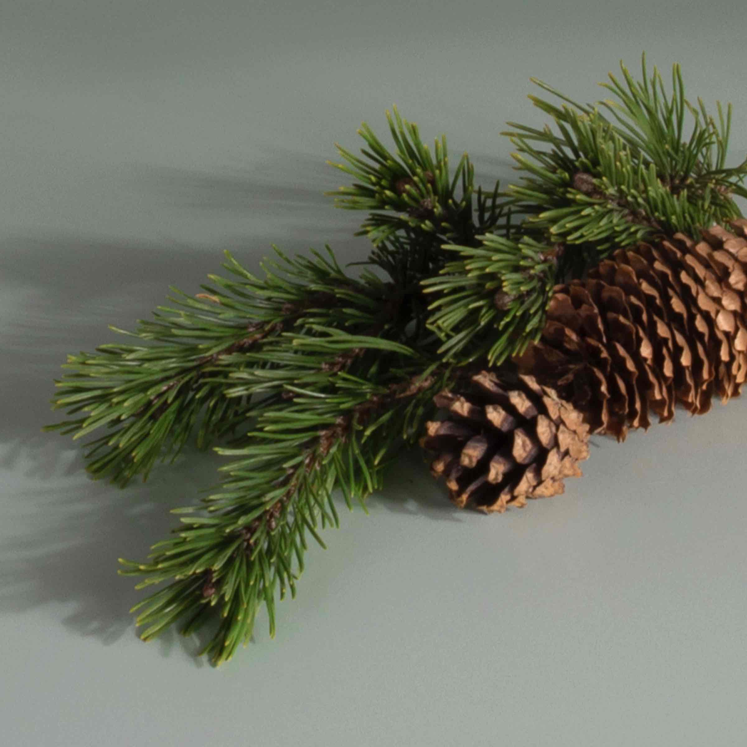 Stix Diffuser Air Freshener Refill - Image 63