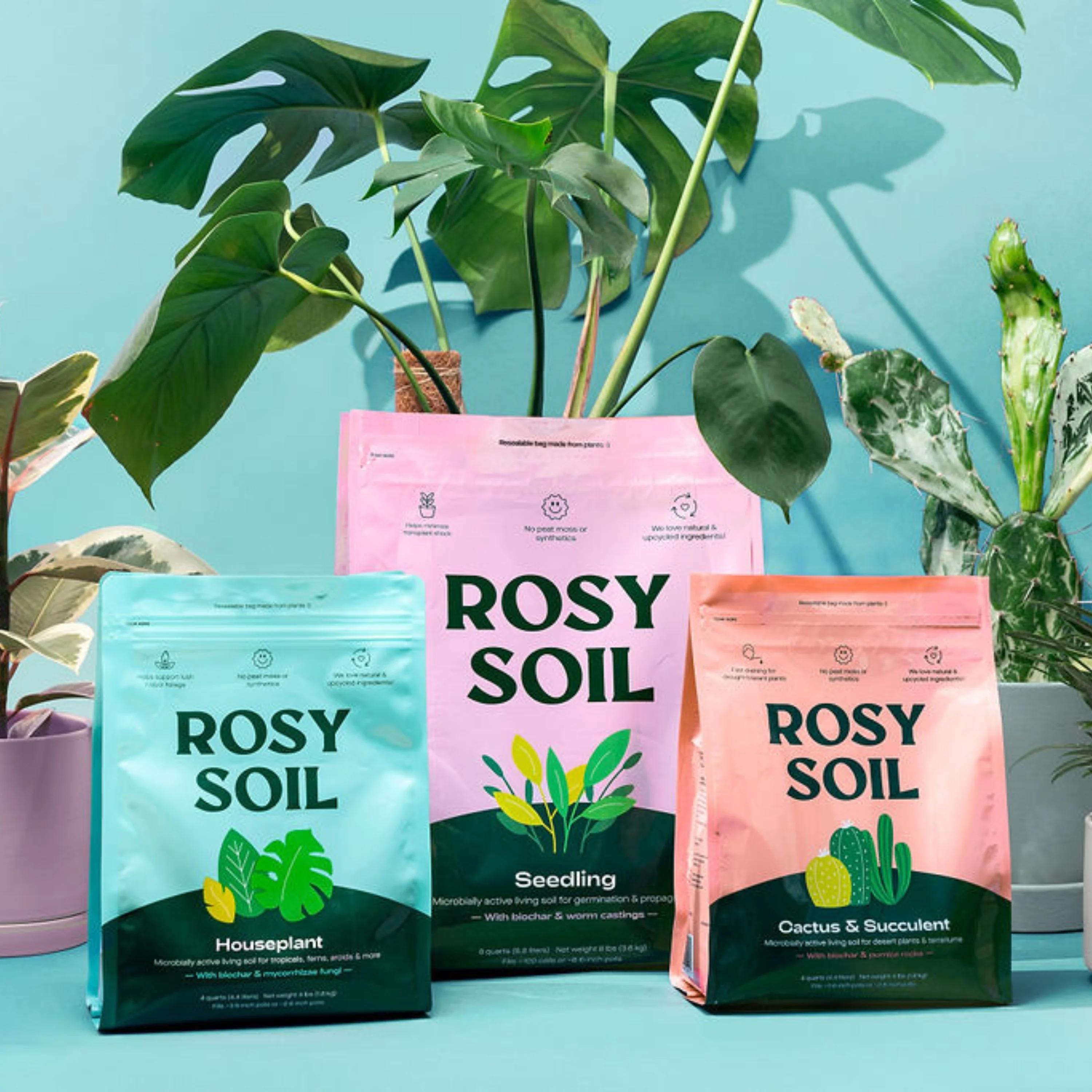 Houseplant Potting Soil - Image 2