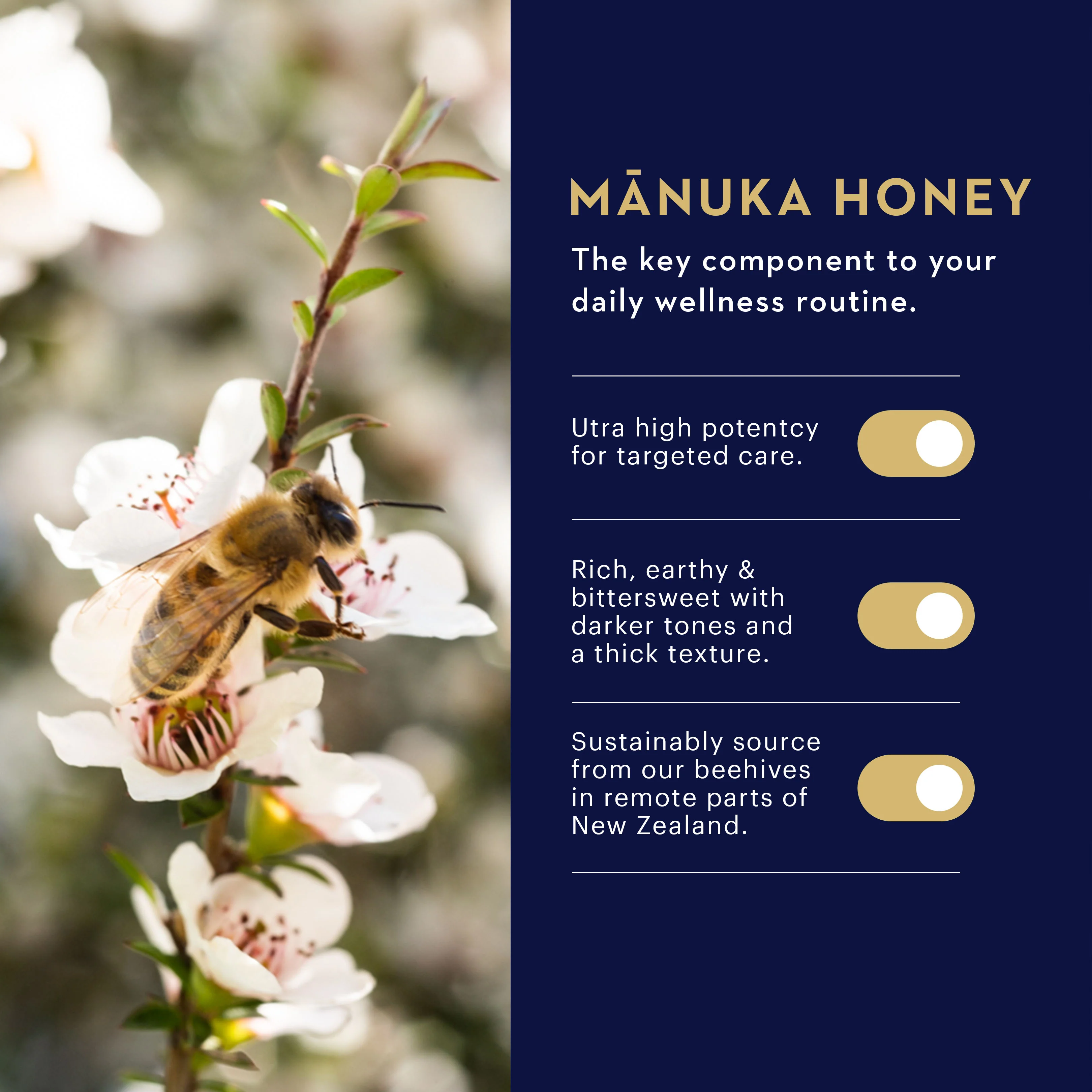 Manuka Honey Lozenges - Image 11
