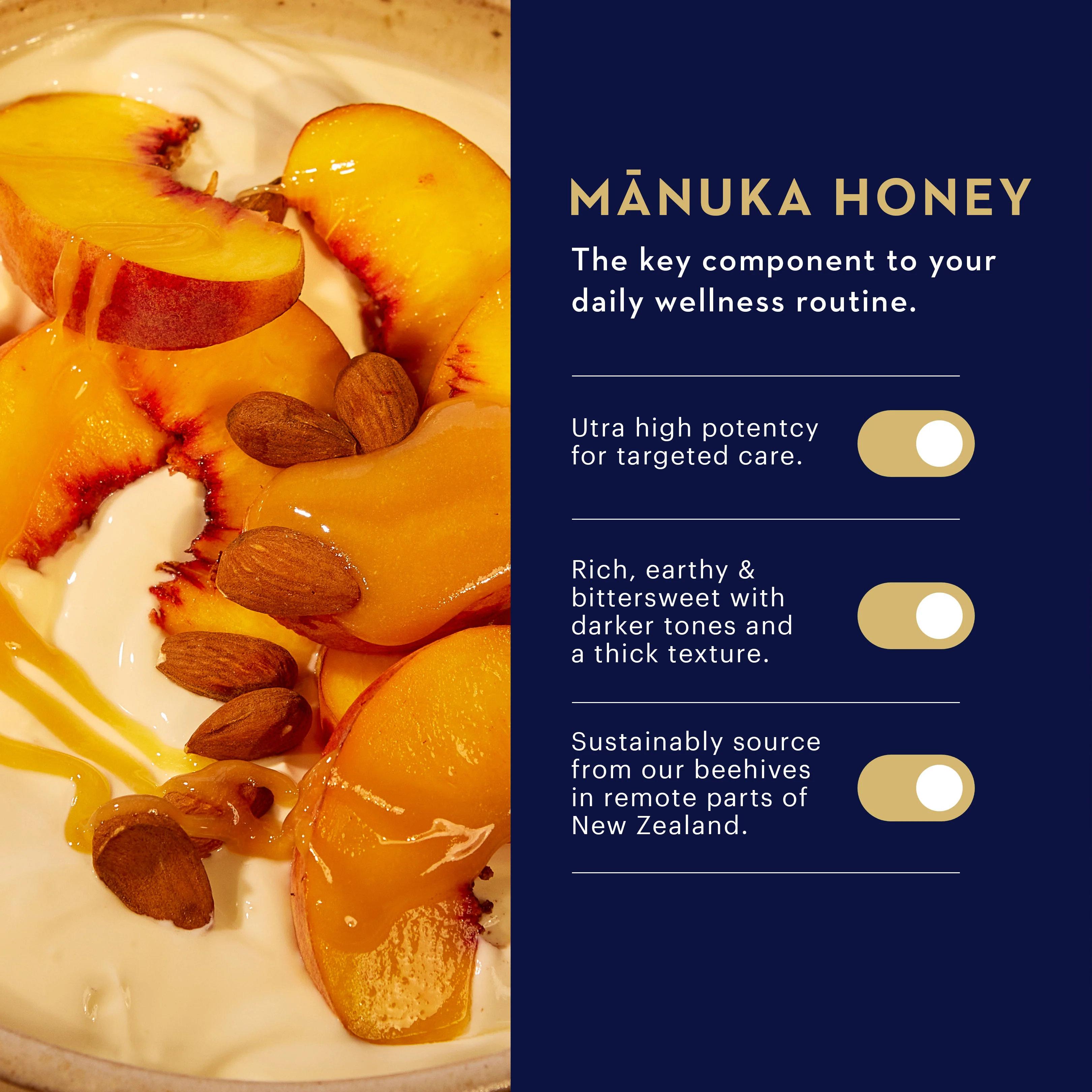 Manuka Honey MGO 573+ / UMF 16+ - Image 5