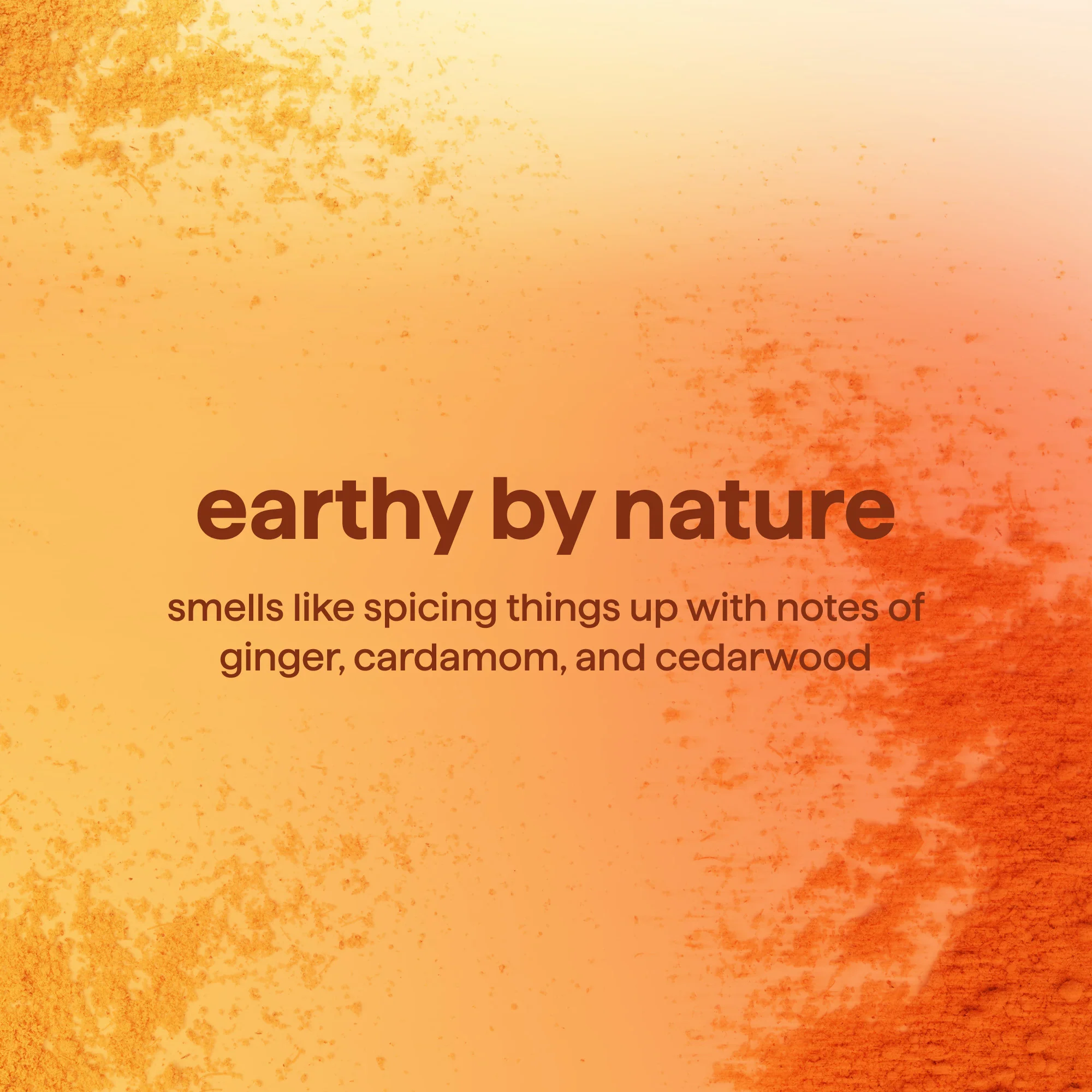 Body Wash - Micro Buffing - Image 3