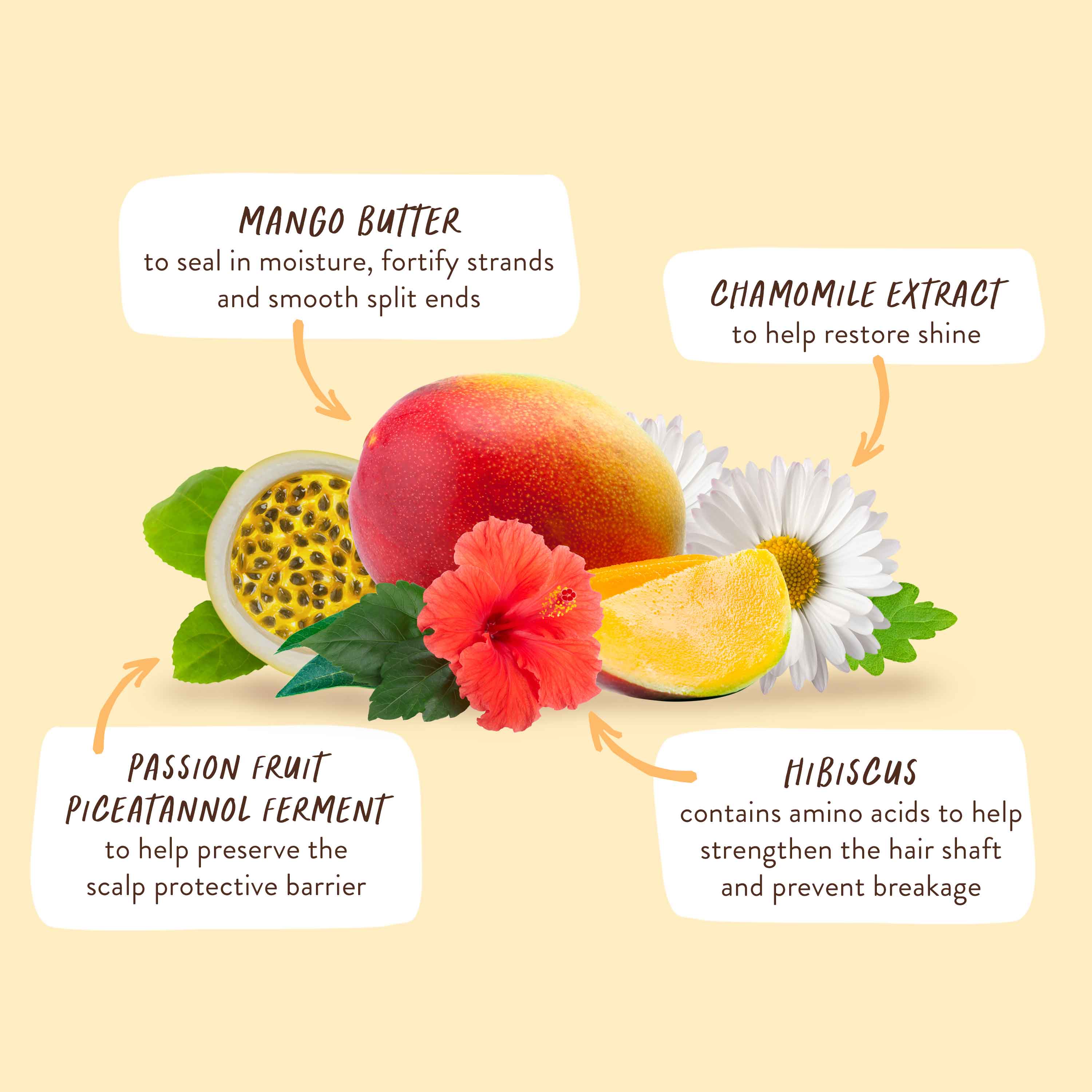 Nourishing Conditioner for Dry, Damaged Hair - Image 11