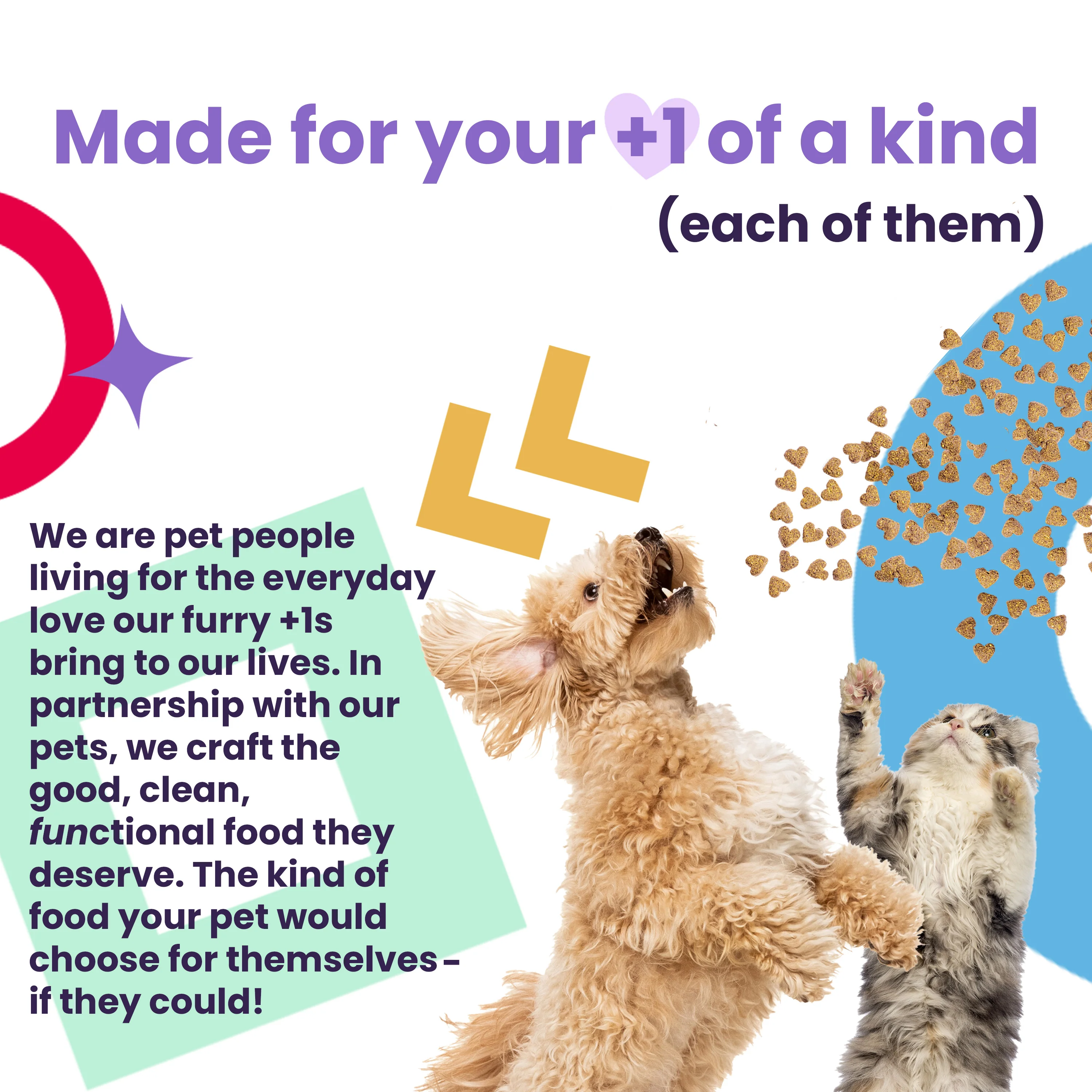 Nude Food Grain-Free Poultry Palooza Dry Dog Food - Image 5