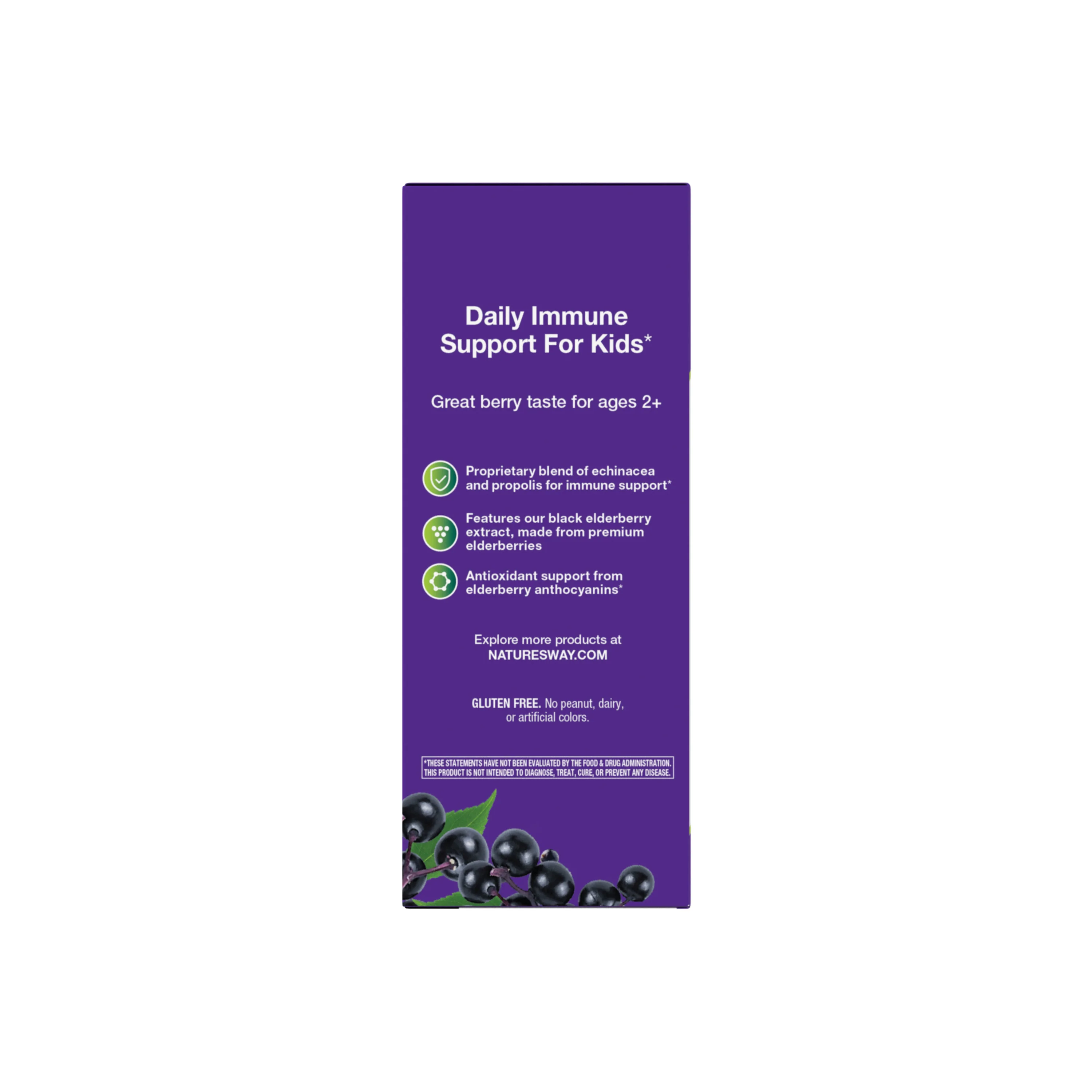 Sambucus Immune Syrup for Kids - Image 7