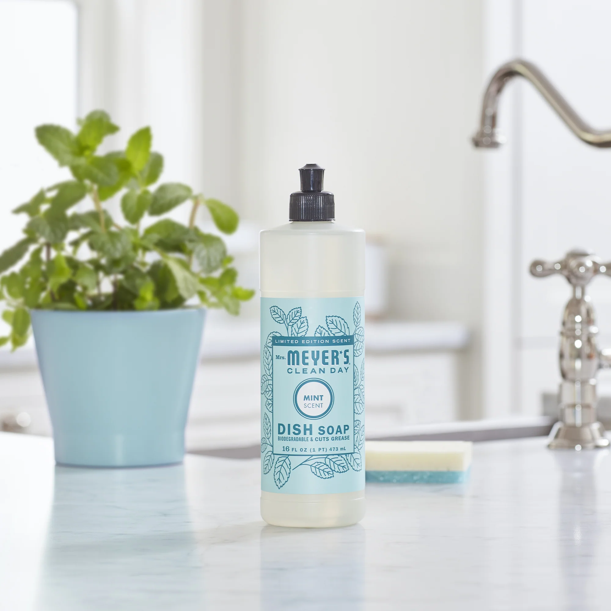 Dish Soap - Image 81