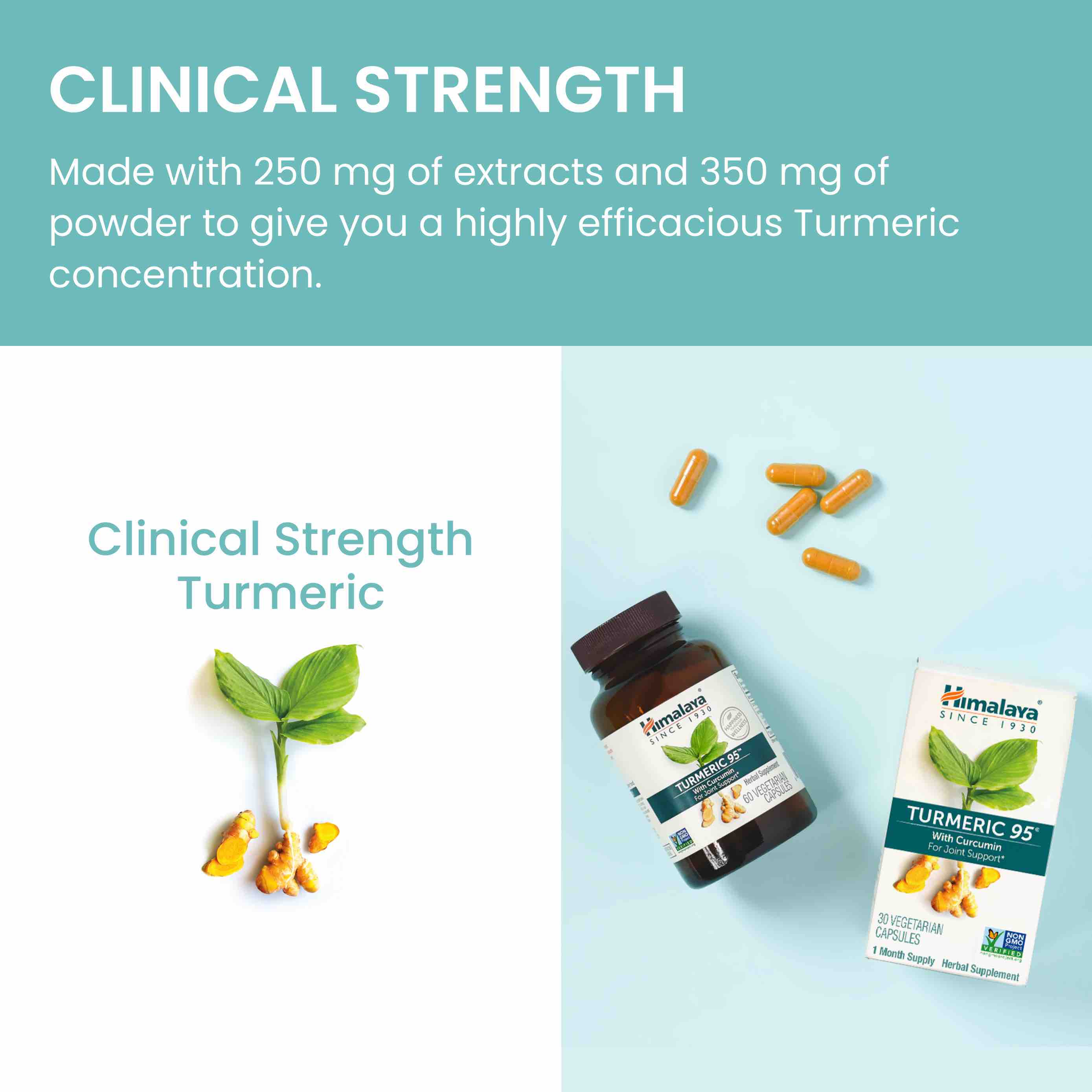 Turmeric - Image 5