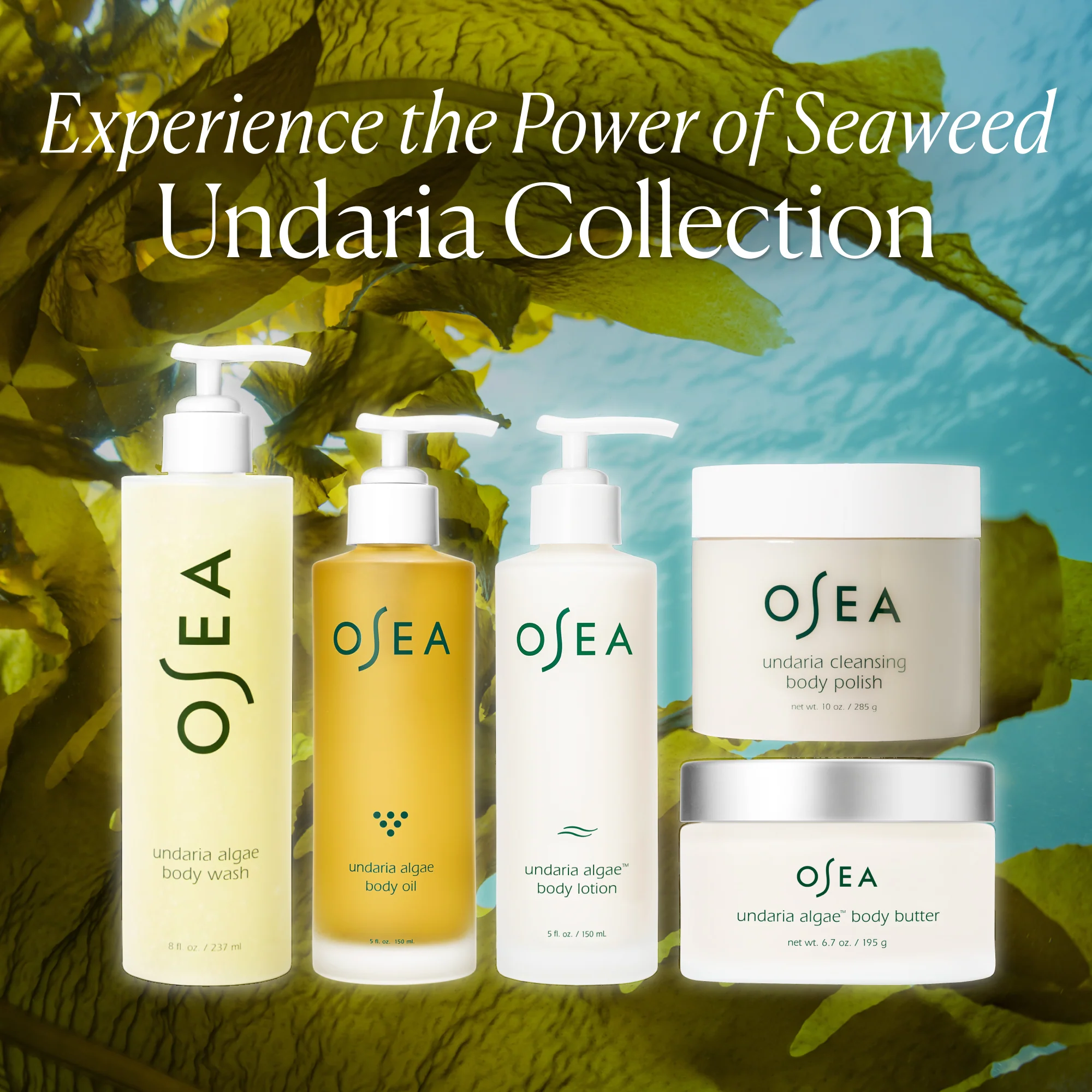 Undaria Algae™ Body Lotion - Image 10