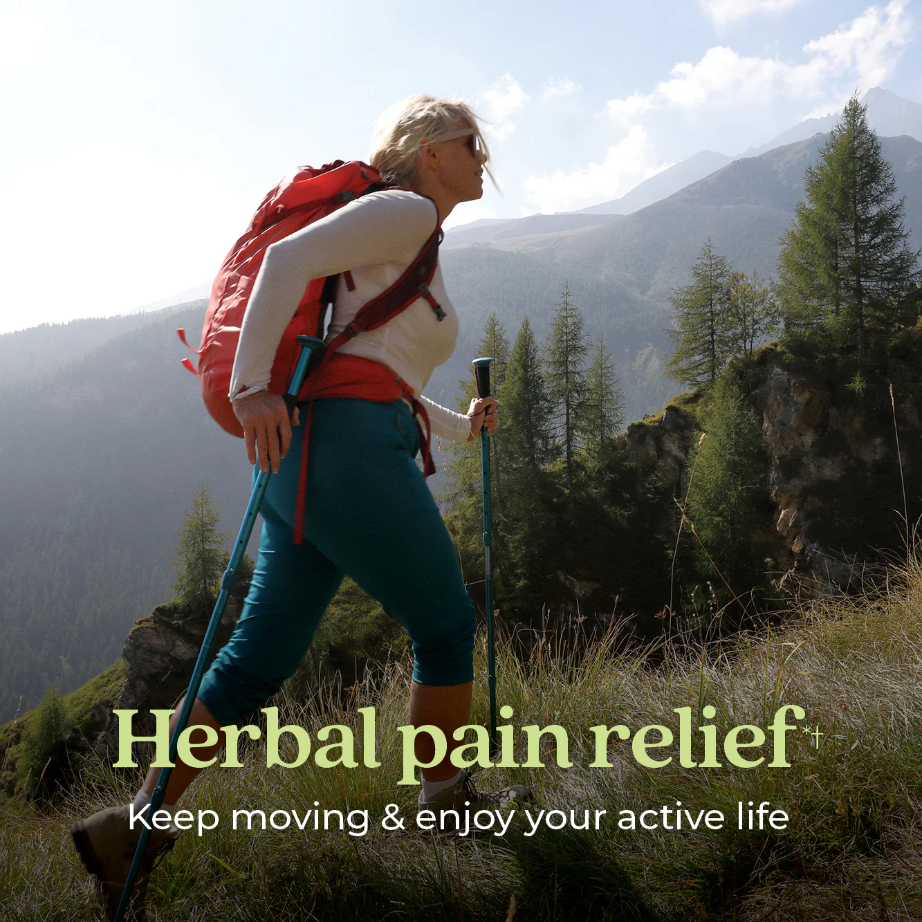 Zyflamend™ Herbal Pain Relief, Healthy Inflammation & Joint Support - Image 15